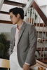 Light Grey Wool - cashmere blazer suit